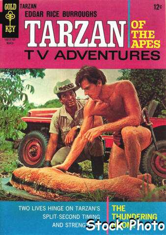 Edgar Rice Burroughs' Tarzan of the Apes #165